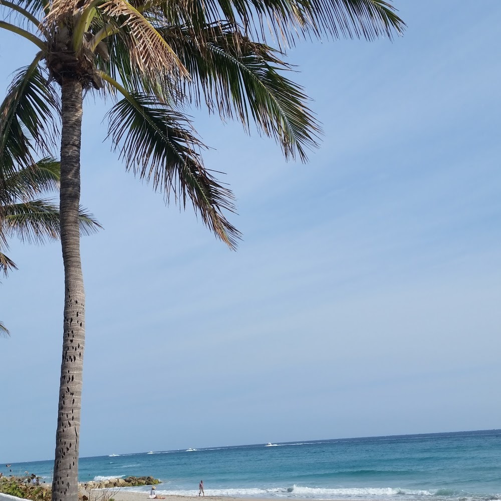 Meet your Posher, Janell